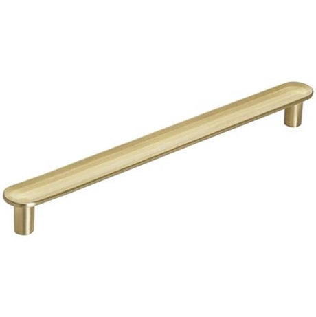 Amerock - Concentric Pull - Golden Champagne